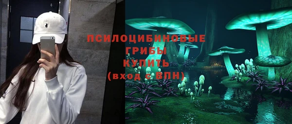 сатива Майский