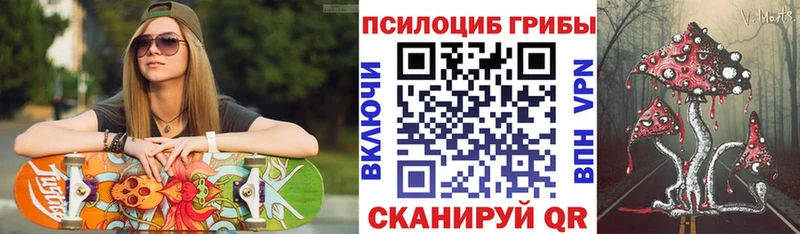 Галлюциногенные грибы прущие грибы  цена   Терек 